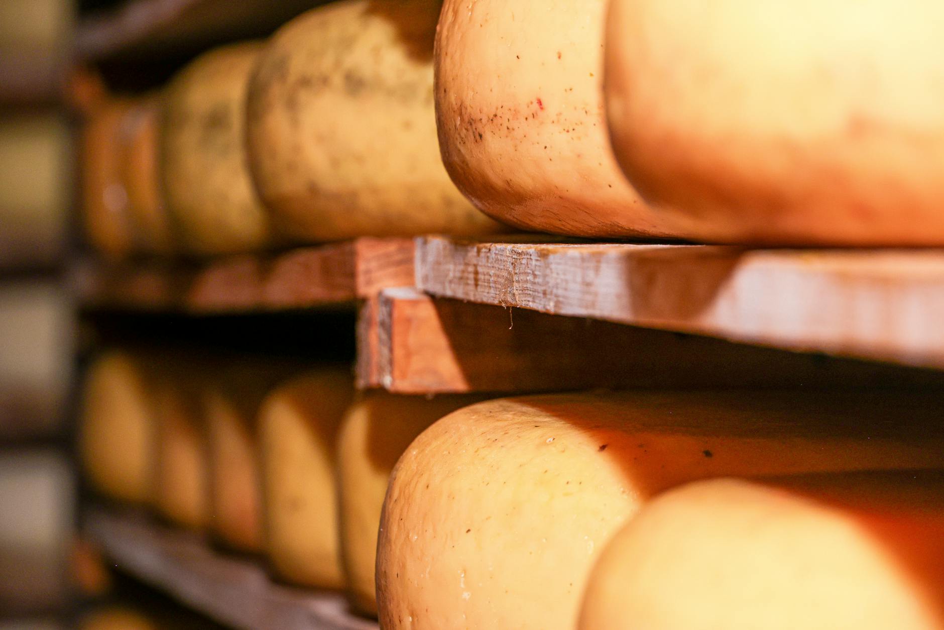 Wisconsin Made It, America Forgot It: The Comeback Story of Colby Cheese