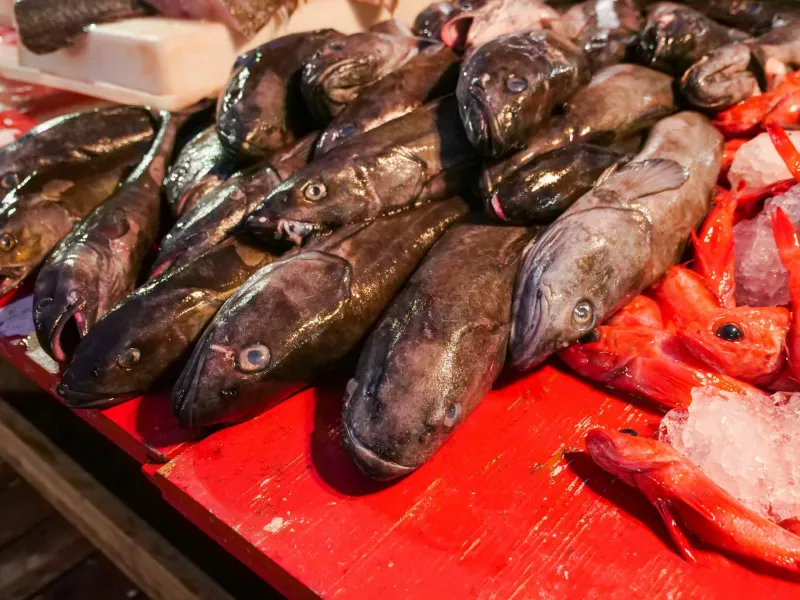 The Fish Counter's Hidden Treasure: Why Nobody Orders the Best Parts
