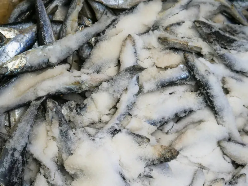 The Fish That Built America Then Vanished From Our Plates