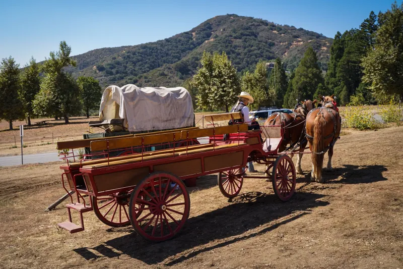 Hot Food on Wheels: The Horse-Drawn Lunch Wagons That Invented Street Dining a Century Before Anyone Called It Cool